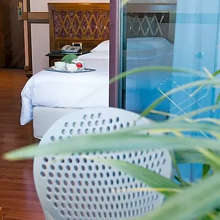 Venezia Otel 4*
