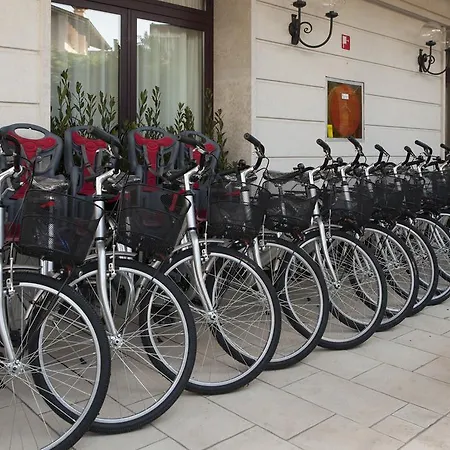 Venezia Hotel 4*